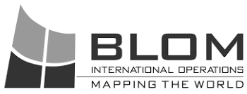 Blom International Logo
