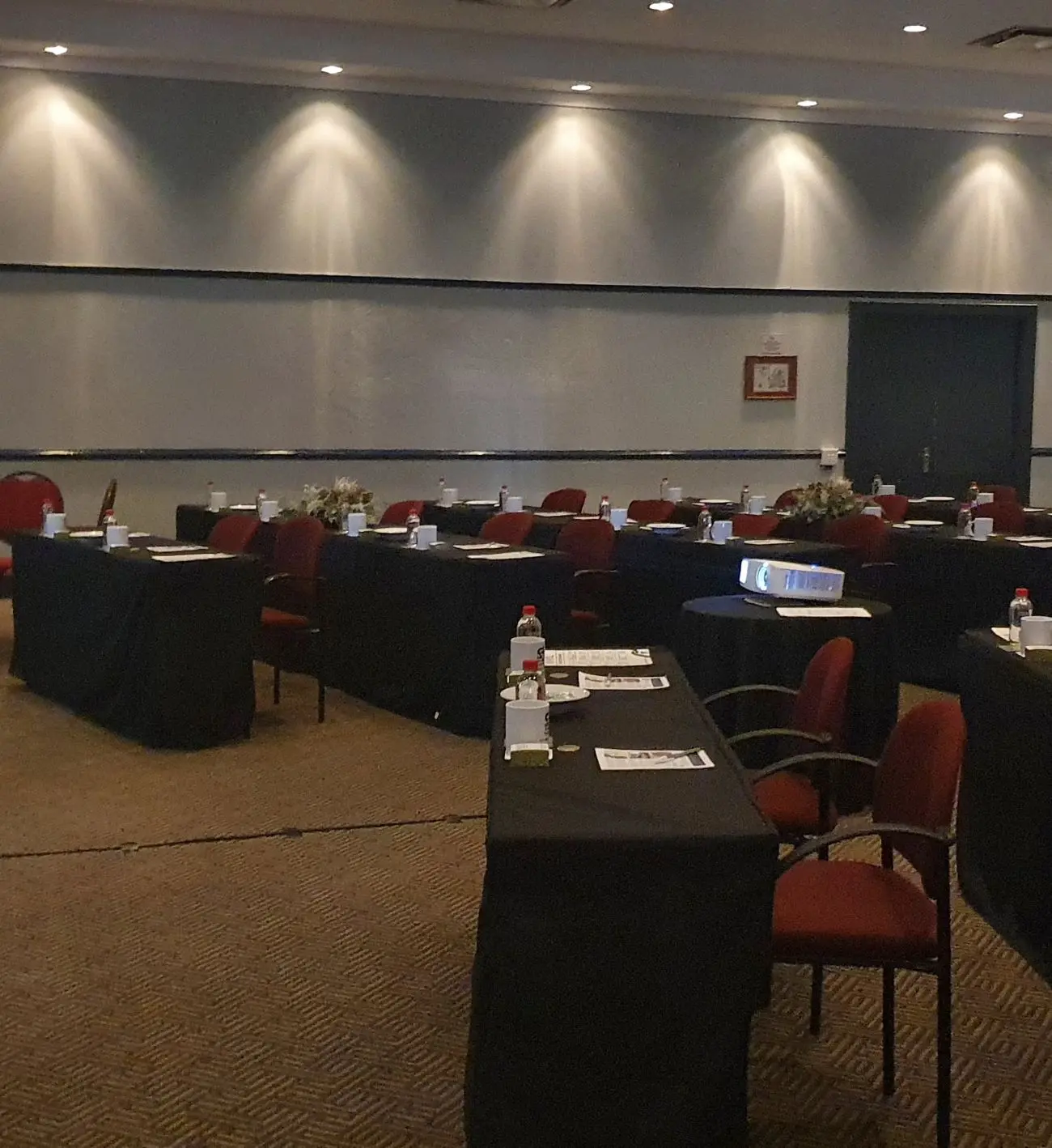 Photo of the setup at the Johannesburg STAPIL CAD Pre-launch